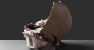 DE MAINS DE MAÎTRES 2025